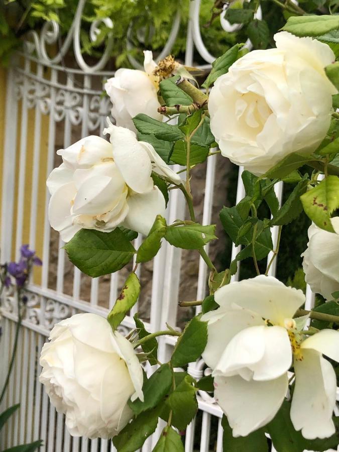 فيلا L'Ile Aux Fleurs Ventabren المظهر الخارجي الصورة